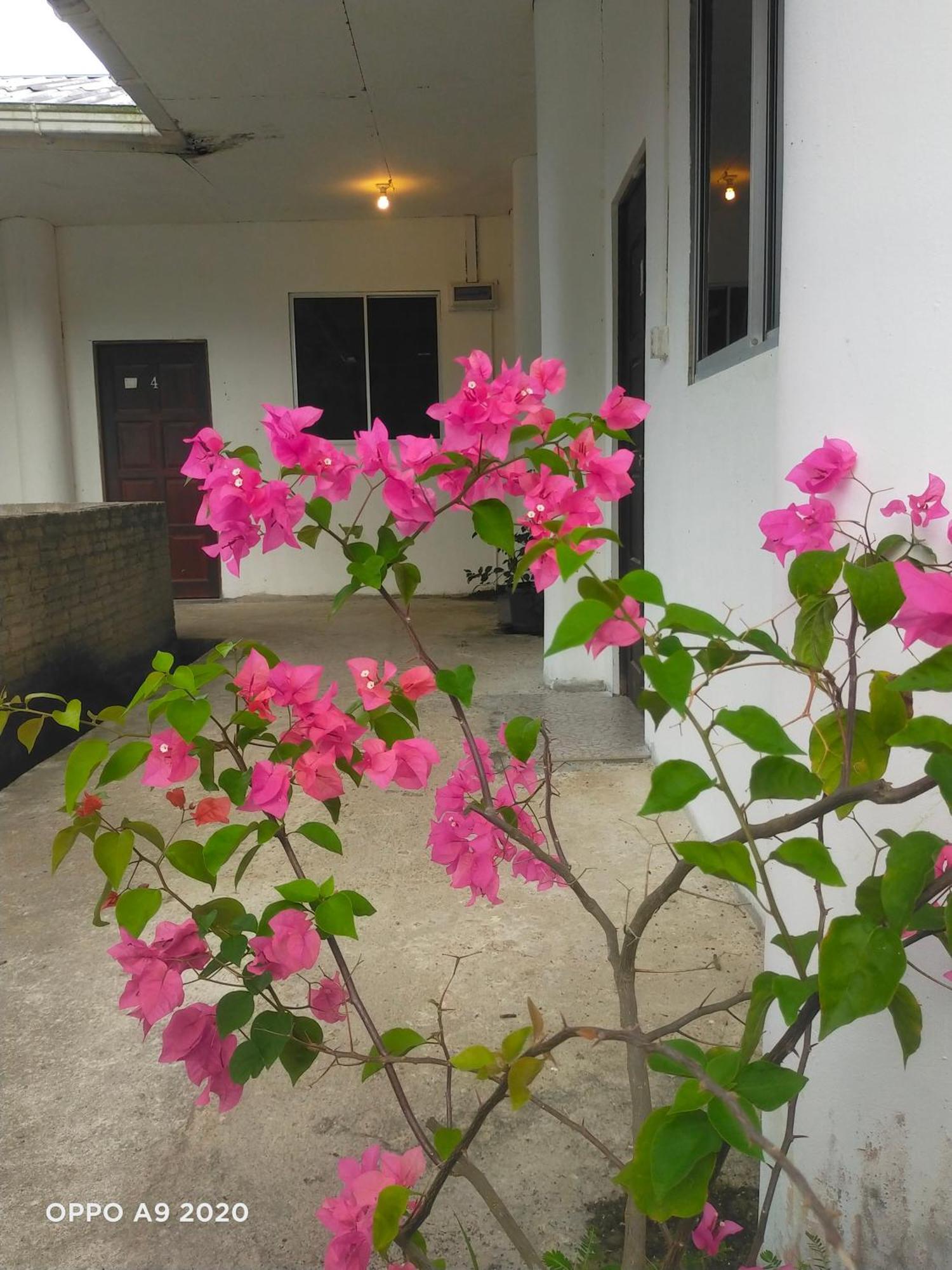 Sukau Tomanggong View Bed & Breakfast Екстериор снимка